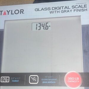 Taylor Digital Scale with Silver and Gray